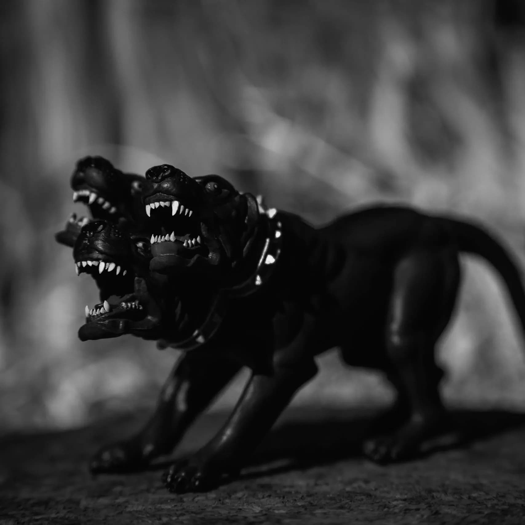 Memorial photo of Cerberus